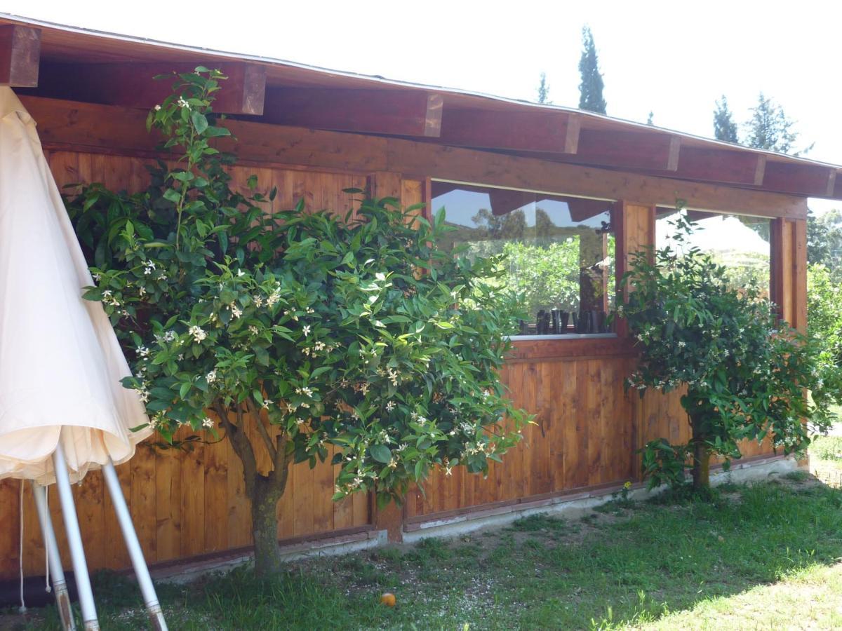 Bed and Breakfast Il Frutteto Торре-делле-Стелле Экстерьер фото